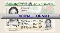 California fake id template